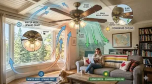 Seasonal diagram of traditional ceiling fans showing clockwise rotation for winter heating savings and counterclockwise for summer cooling in Canadian homes.