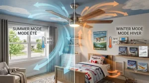 Energy Star certified airplane ceiling fan icon highlighting eco-friendly power consumption and electricity savings for Canada.