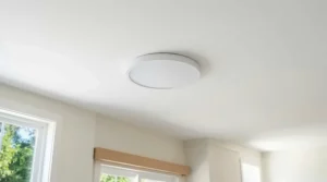 A compact ceiling fan for basement bedroom perfectly scaled for a newly renovated underground guest suite.